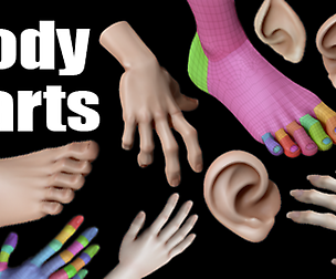 Body parts