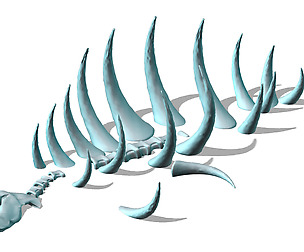 Seabed animal fossil 02