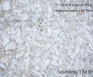 Clam shell tile 8K Textures
