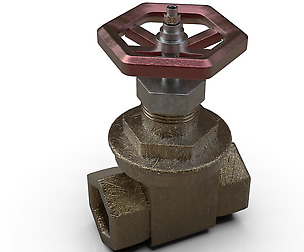 gate valve