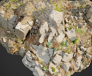 3d scanned cliff face D