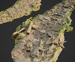 Ground stones C