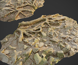 Ground stones E