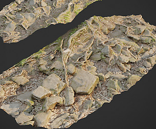 Ground stones F