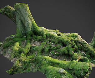 3d scanned nature forest roots 005