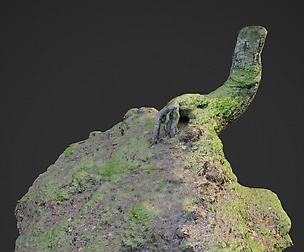 3d scanned nature forest stuff 006