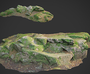 3d scanned nature forest stuff 008