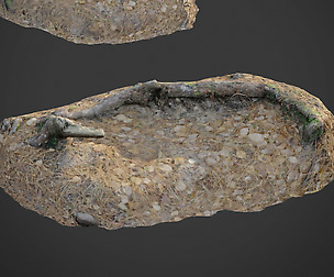 3d scanned nature forest stuff 010