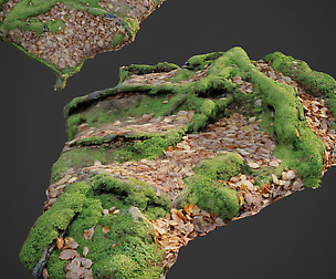 3d scanned nature forest stuff 011