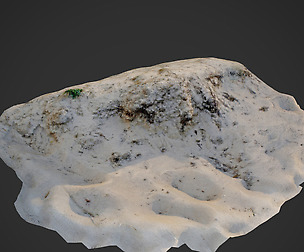 nature ground edge 002