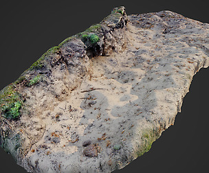 nature ground edge 003