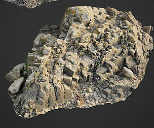 3d scanned rock cliff R2