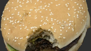 Burger cover