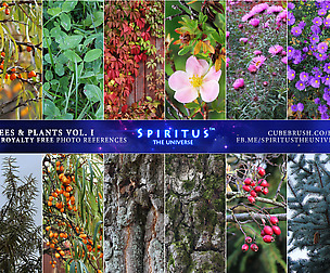 350 TREES AND PLANTS PHOTO REFERENCES - Vol. 1