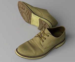 Elegant leather shoes