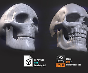 Low and Hi poly Skull