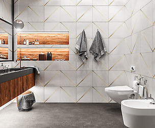 Bathroom Scene