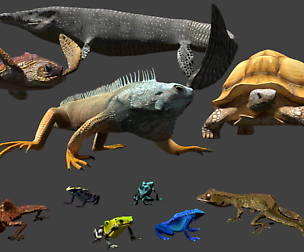 Blender reptiles and amphibians pack