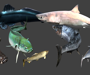 Blender fishes pack