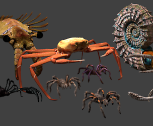 Blender invertebrate pack