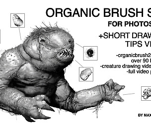 ORGANIC BRUSH SET