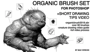 ORGANIC BRUSH SET cover