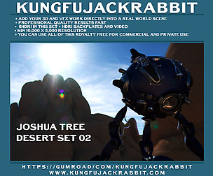 KFJR_JoshuaTree_Skullrock_Desert_02