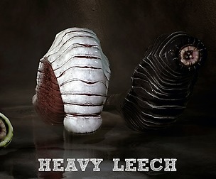 Heavy Leech