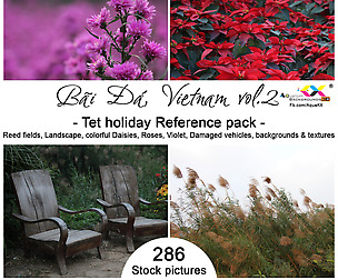 Bãi Đá Tet holiday reference pack (vol.2)