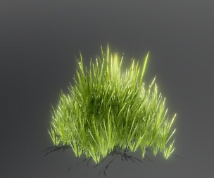 Green Grass