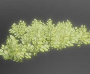 Small Trees