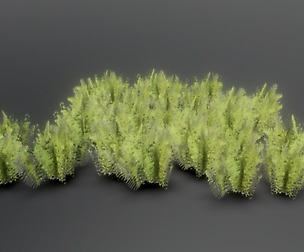 Small Shrub
