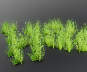 Grass (More)
