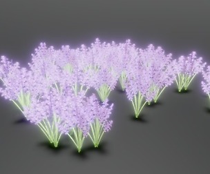 Lavender