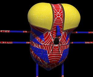 Spidey McFly Maya Rig
