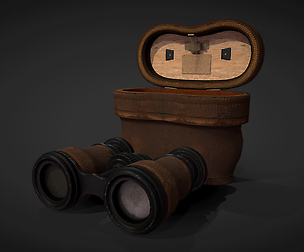 Antique Binoculars with Case - PBR