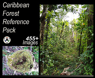 Caribbean Forest Reference Pack