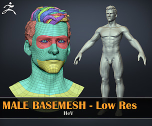 Male Basemesh - LowRes