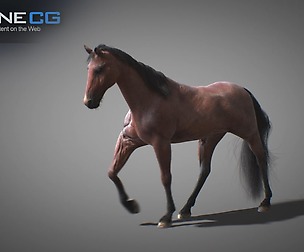 Animated Horses 3DSMax