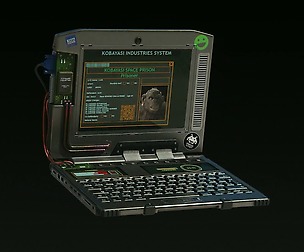 Laptop from my scene Ape on the run