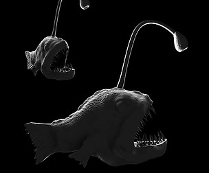 Scary Fish