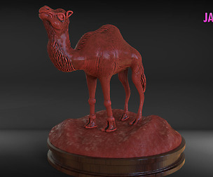 Camel Timelapse + Model