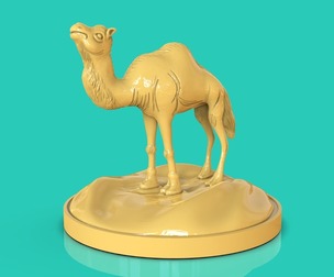 Camel Timelapse + Model