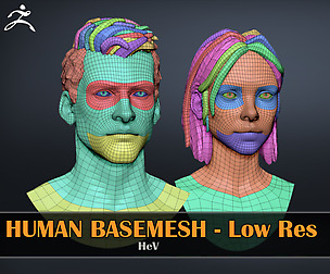 Human Basemeshes - LowRes