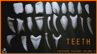 TEETH - Zbrush 24 Assorted Teeth IMM Brush cover