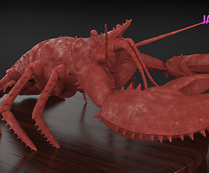 Realistic Lobster Timelapse + Model