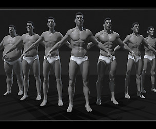 Male Anatomy Bundle