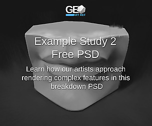 Example Study 2 Free PSD