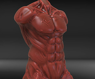 Male Torso Sculpture Timelapse + Model