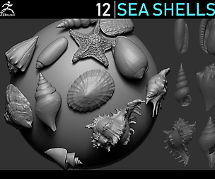 Zbrush - Seashells IMM Brush